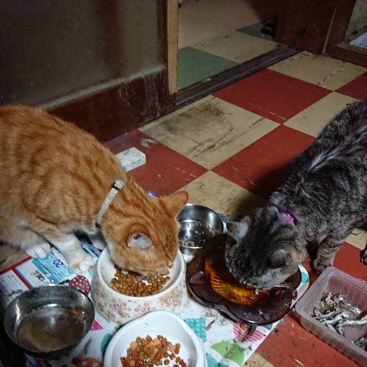 B3325503 1bb0 43e2 920f 9acc8f96b71b 1595840378700