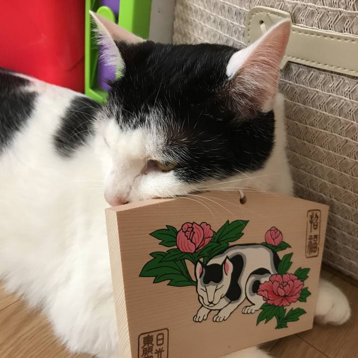 B332653c dca2 4224 ad8e 525e9f979d7e 1528332517183