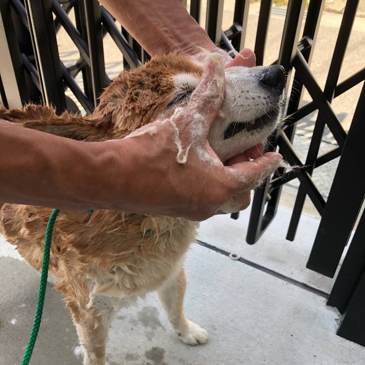 B3326cb6 ecb9 4cee b67d ef1b1b99177e 1535848785570