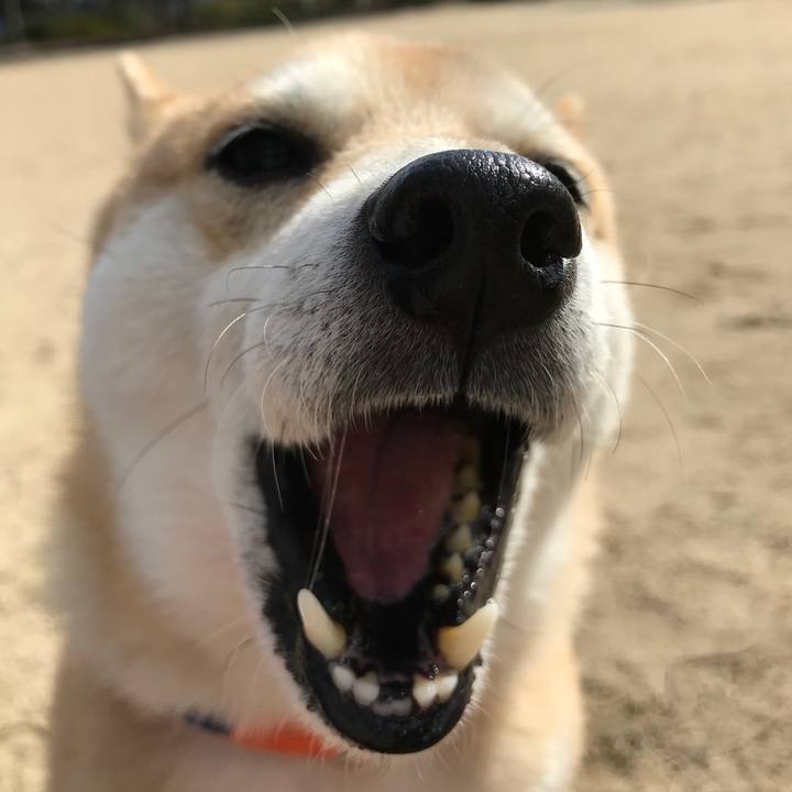 B332931c ab13 42ae 8135 7936c46878e6 1517644470303