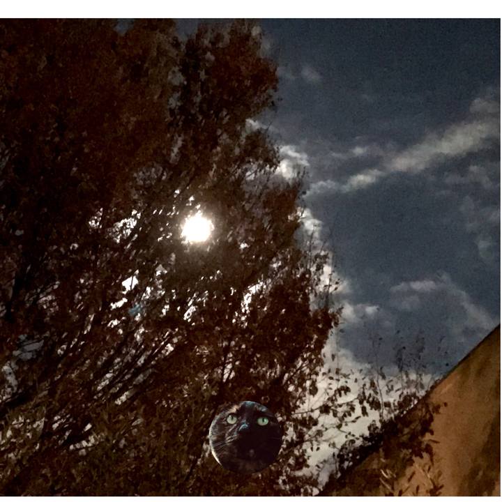 B332b3e4 a1ad 42d9 ac04 e6a0bf28d803 1542980103549