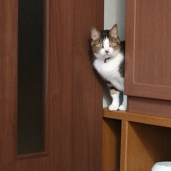 B332bd76 ebce 4187 9a11 8696d6d96885 1554262106154