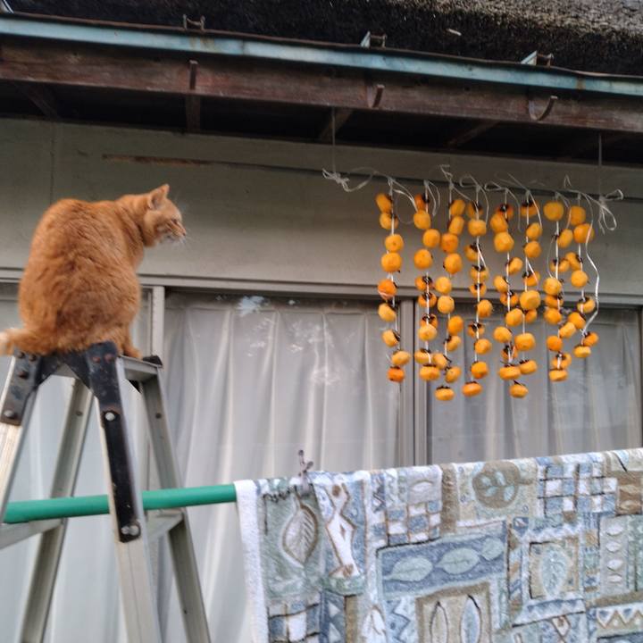 B332e090 b2e7 4e70 8349 b3dd10b02b2e 1698048798230