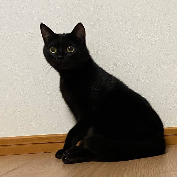 B332f508 fa71 48bd 916e 580384fad419 1641813978780