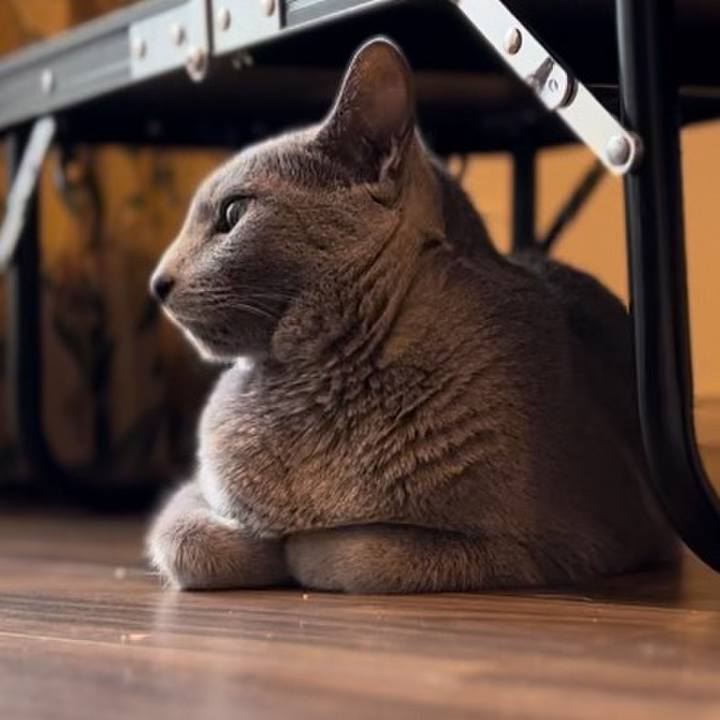 B333861c 13be 4b84 a4a0 ad846719e418 1743173342463