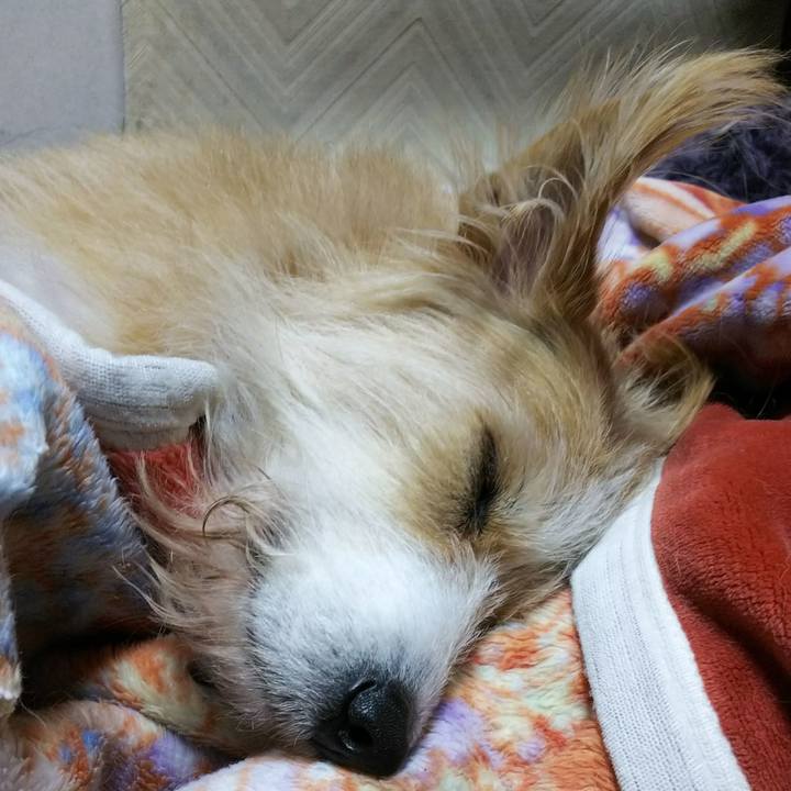 B333ad9b 9d60 469c b2f0 613903305d79 1517565650728