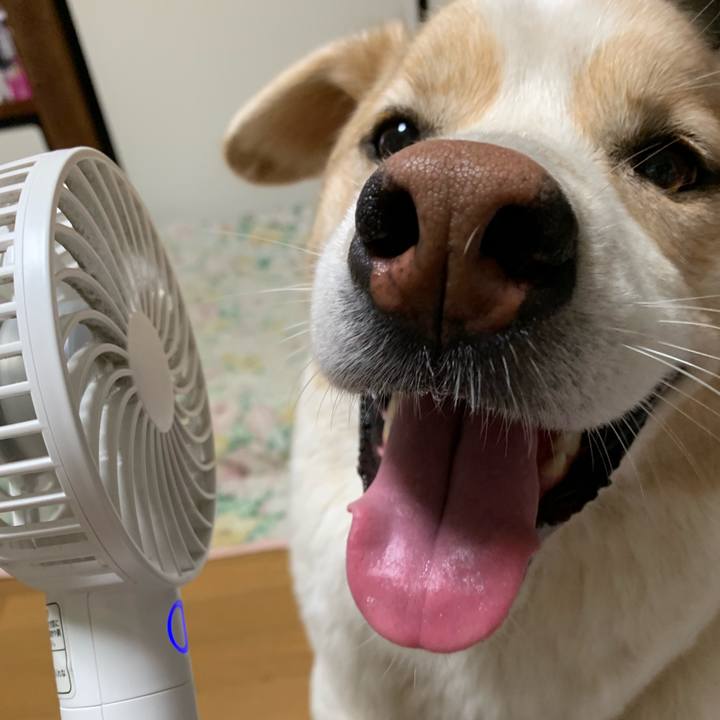 B333bbcd c2bd 4d3f 83a0 8d18e57db93b 1568889479955