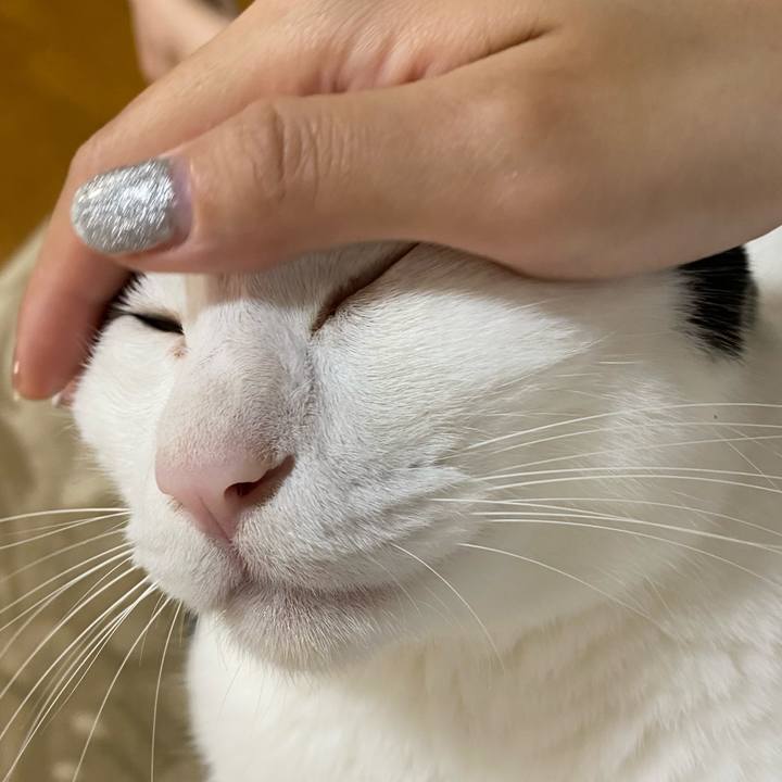 B333be85 2bf2 463d 891c 6c60a0fde89c 1663988831784