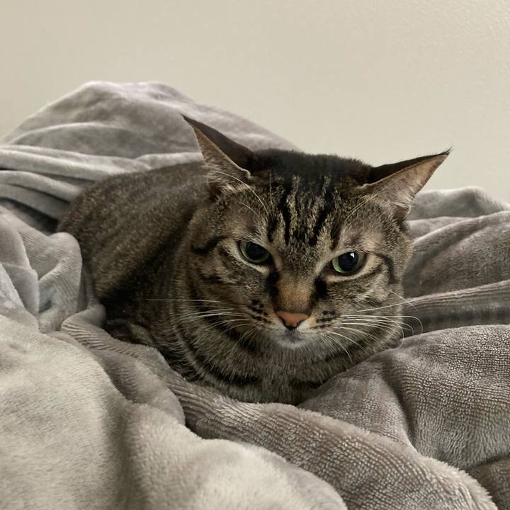 B333e155 8987 4e71 a74d 24933623ba8a 1602292647722