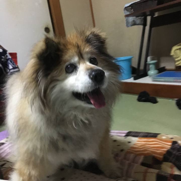 B333e409 ff9a 4df3 81bf db7ff1a25d2a 1564638417578