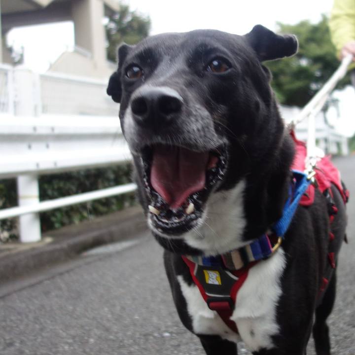 B333ebc8 ba33 4b17 80fb 5abc5d72aae5 1665102036348