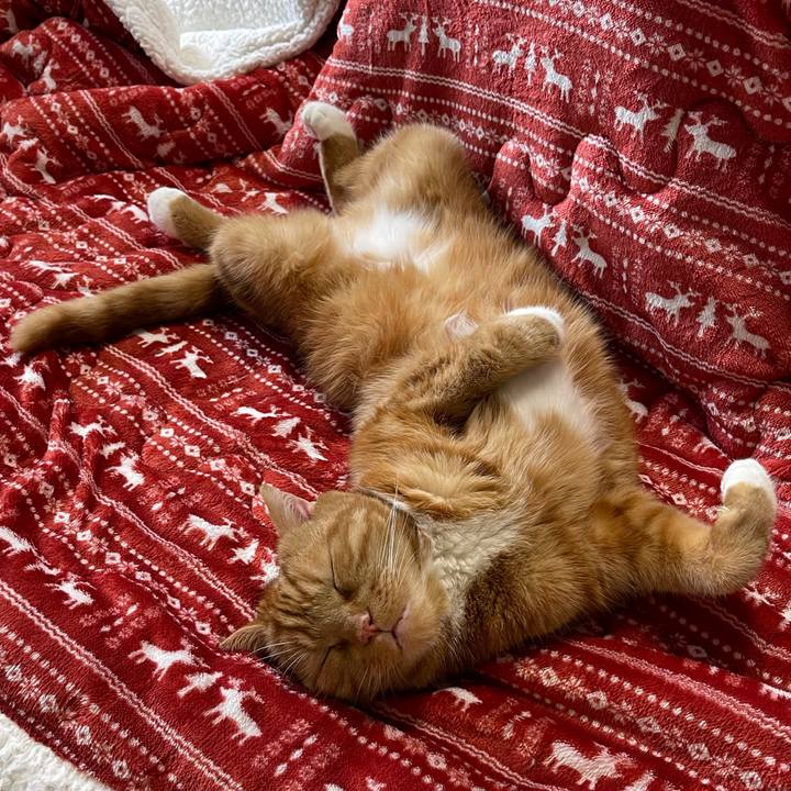 B333f485 26b8 4ae9 930c 530720857afd 1637474049563