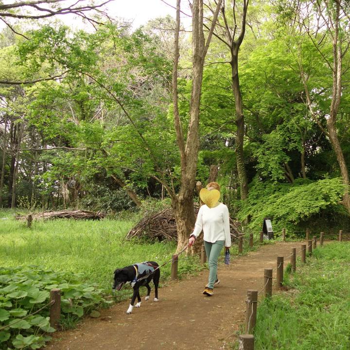 B3341169 0da6 49eb 8e55 8f4a5eaac76a 1744936174830