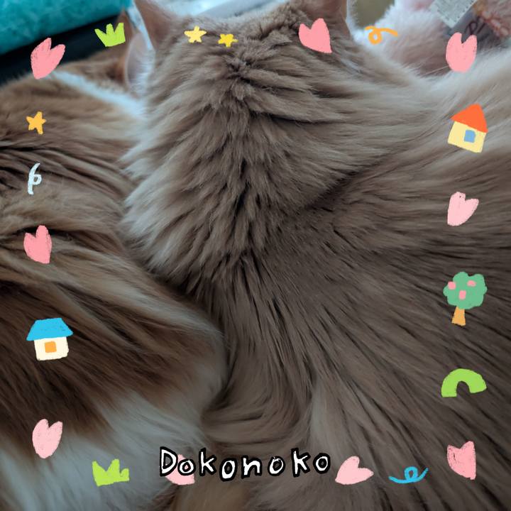 B33416cc bf55 4a62 9909 577389560a07 1741395046495