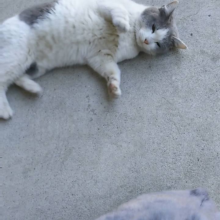 B3341acd 6ebc 4cfd a5fd 38ccc5b840eb 1518338456865