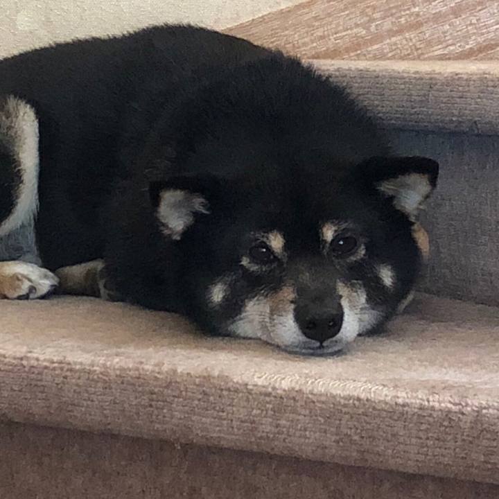 B33447a7 2556 4a7a 89f4 fc0b523a72b8 1532923068435