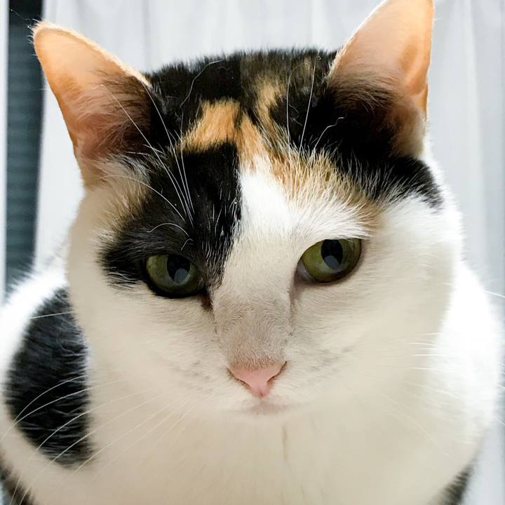 B334625a fcd5 4f84 822c 83e950805f2d 1526118175824