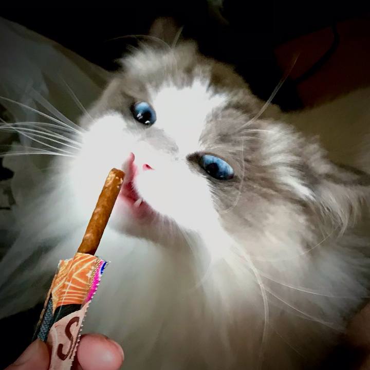 B33465c5 f0e5 442c aea6 ead922ecdb9c 1626675091135