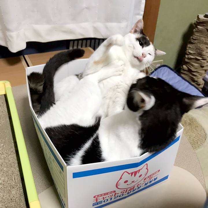 B33468c4 1d21 495c ac4f 12ab2dd20ab9 1538013882544