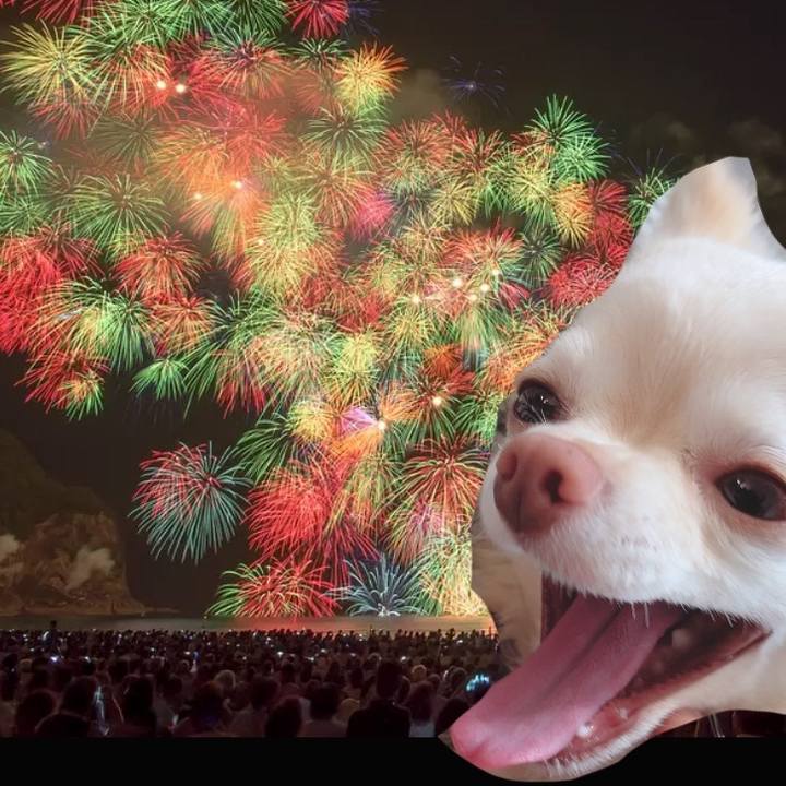 B3347550 9865 4786 8014 ce42d6a3cb29 1691845516952