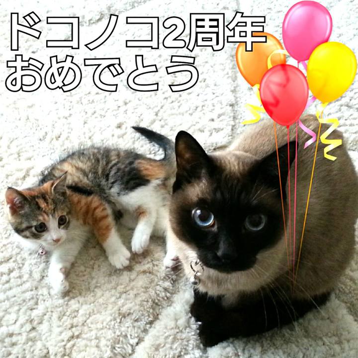 B3348c23 f9b2 4539 adbc c3bbb0d7d729 1528029554968