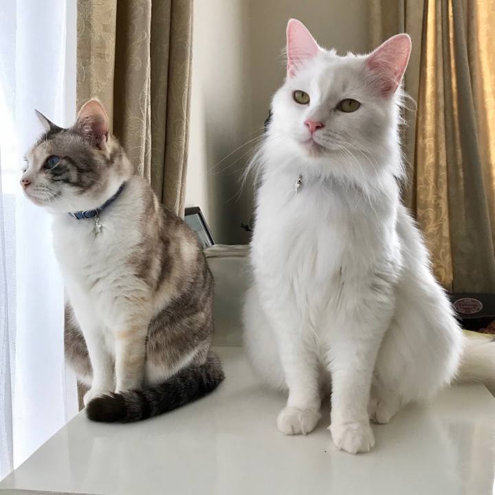 B334e304 f4e7 4b30 9536 ad1740e39e38 1558581663402