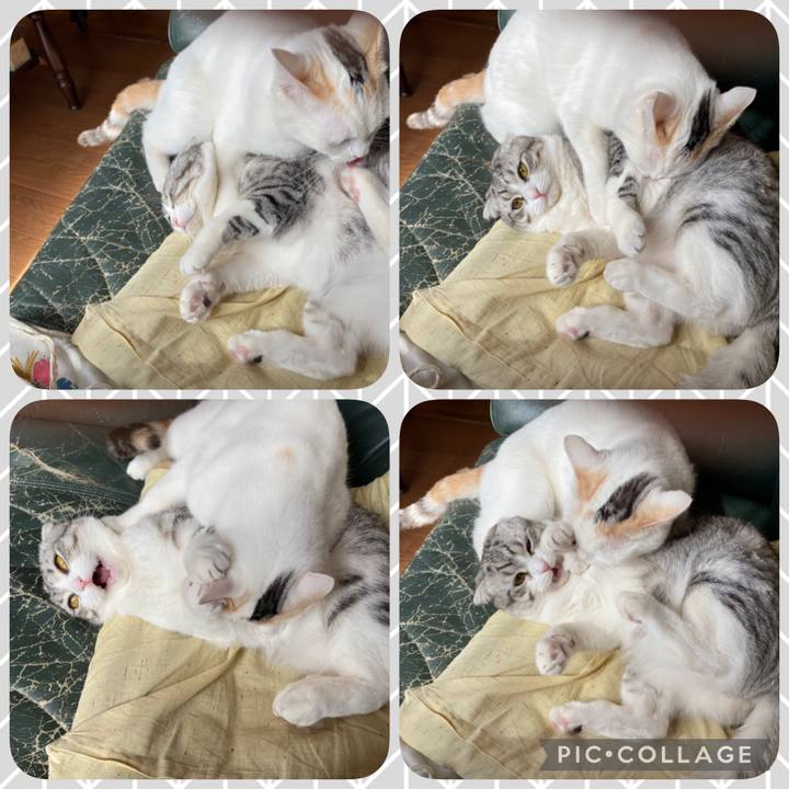 B3352af4 aed7 447d 9fb8 b38b130b1d37 1614947661765