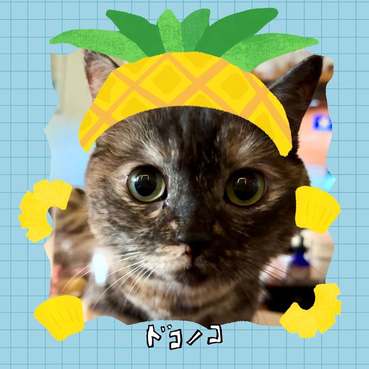 B3353b80 3670 464b 89cb 063b83b6afd9 1783941926712
