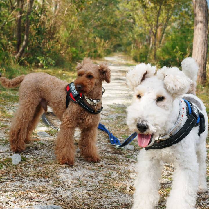 B3356fa4 20ba 414d 95fc 246dcaf028a8 1542419380905