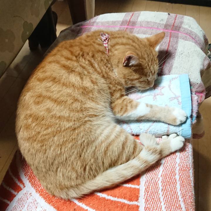 B335b1c9 a6c6 4252 a3f5 f6a5b1679ace 1604722940109