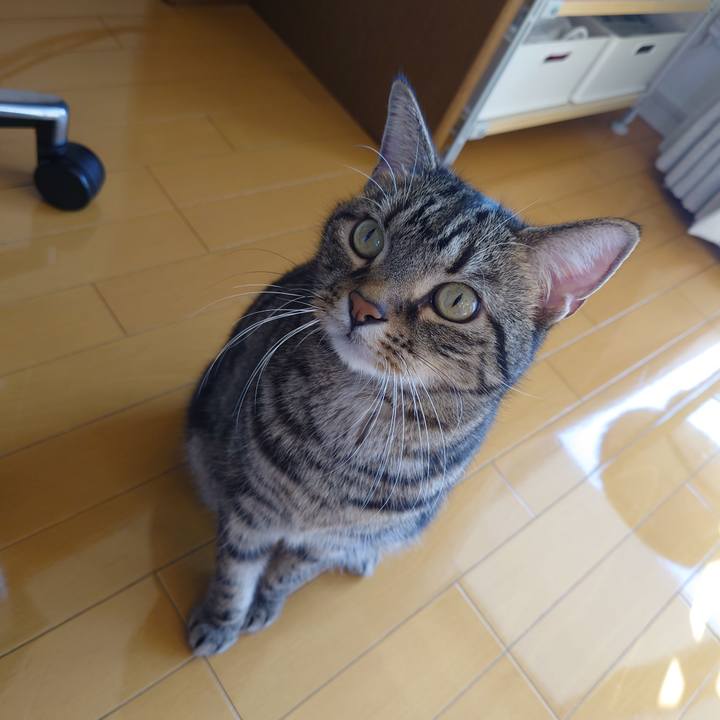 B33627c4 9fa1 40a7 a497 47fdb66c1945 1668748147130