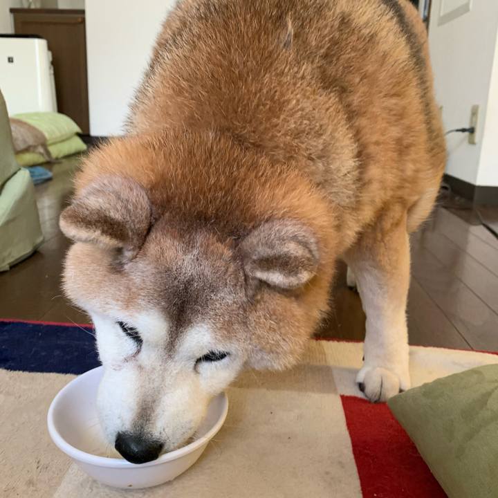 B336321e e39a 441c 9def 25549c8ce667 1648179521596