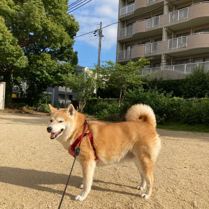 B3364210 11db 40da 9492 1f9cb36c880a 1627122512231