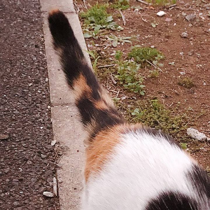 B3366a01 75de 49dd 8392 abbdb0205194 1633827470450