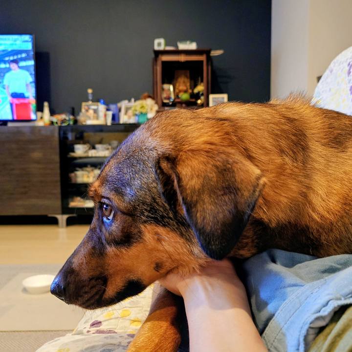 B3369144 4c04 40f3 bfe8 b1999499c8f9 1757726927563