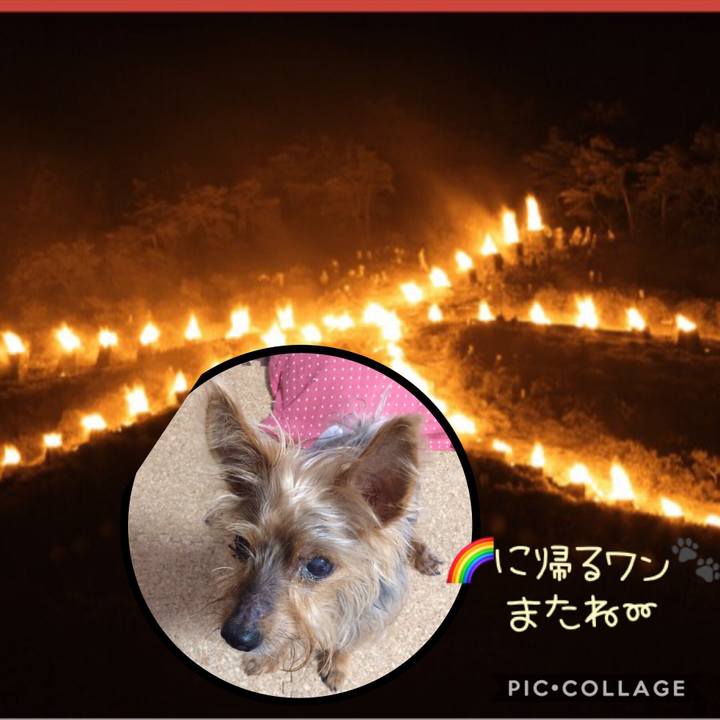 B336b1e4 9500 4fdf ac85 abc67b04aac0 1565965397490