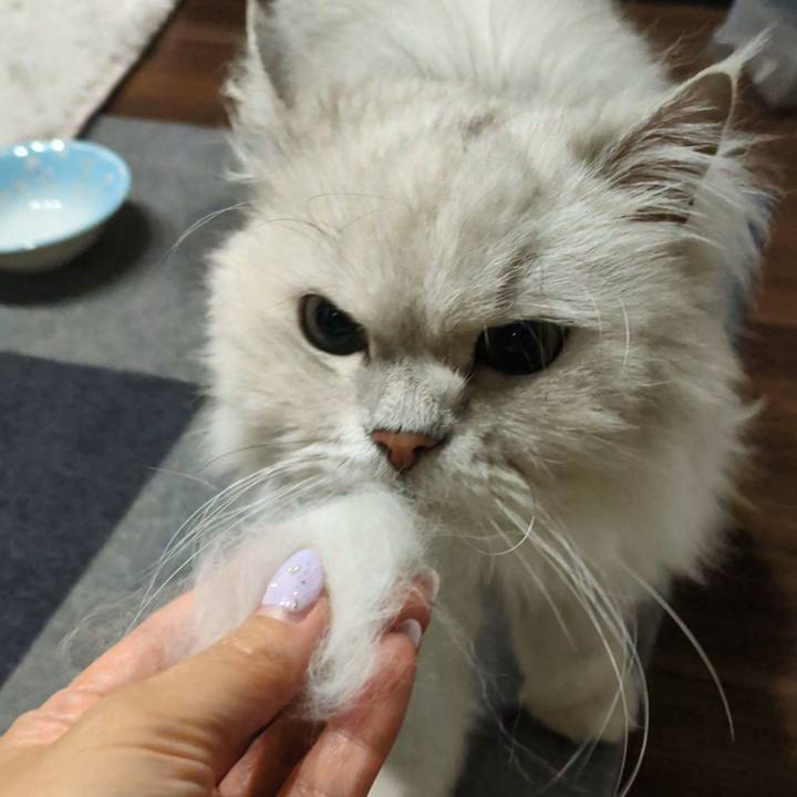 B336c495 08ce 4c87 a8ba 77cd9ab91da4 1779630318576