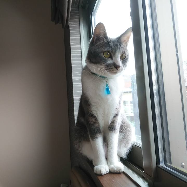 B337021b 029d 46cf bdfd 9e9e04353ff5 1588976398354