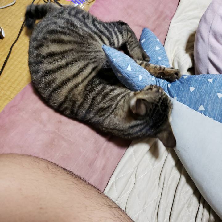 B33724f1 7dda 444b aa5b 705acf2c5b98 1543057248400