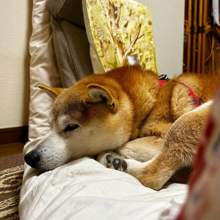 B3372a89 0230 49c2 8a8d 5f7a5353abfe 1713697451628