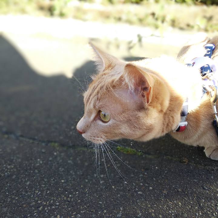 B337ad55 0a73 45c1 969d 7bbbe45f3418 1566036068213