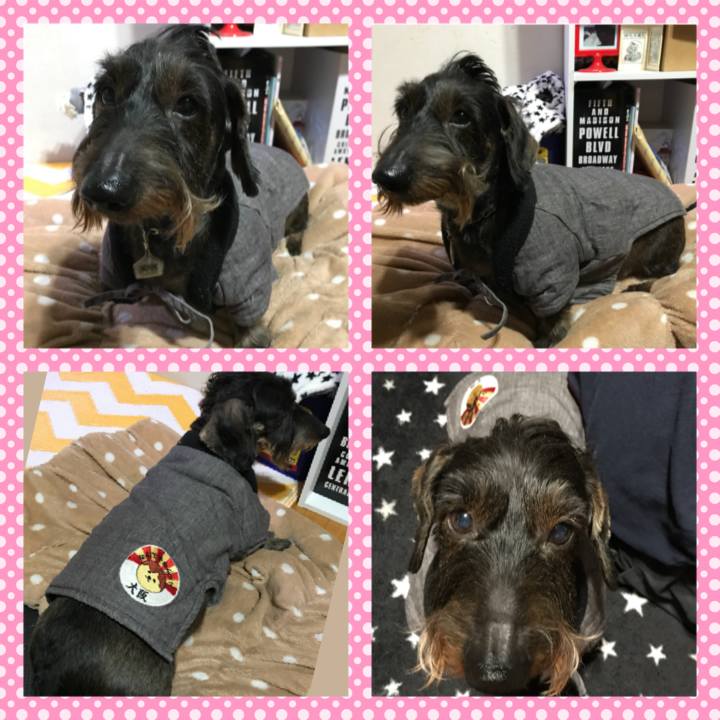 B337be69 6513 43bc abda a53c1f15983a 1512139779477