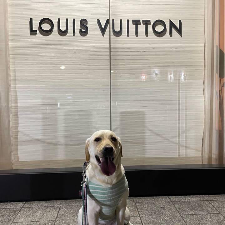 B337d8f0 45c3 44c2 aed8 a96de93435aa 1669456788714