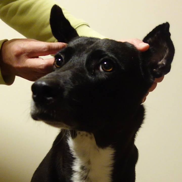 B337ea35 8320 41fb a7fc 1e6fc6fc9a84 1603452443949