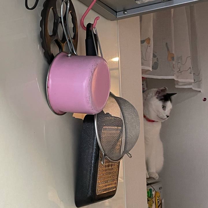 B33813de cc70 4ea1 8145 4710075898ca 1613088305402