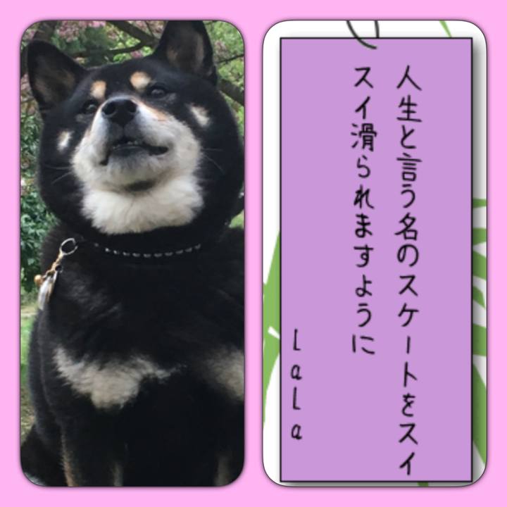 B3382e94 b7b5 45ef 956d 6d834ebe2e3f 1562544116297