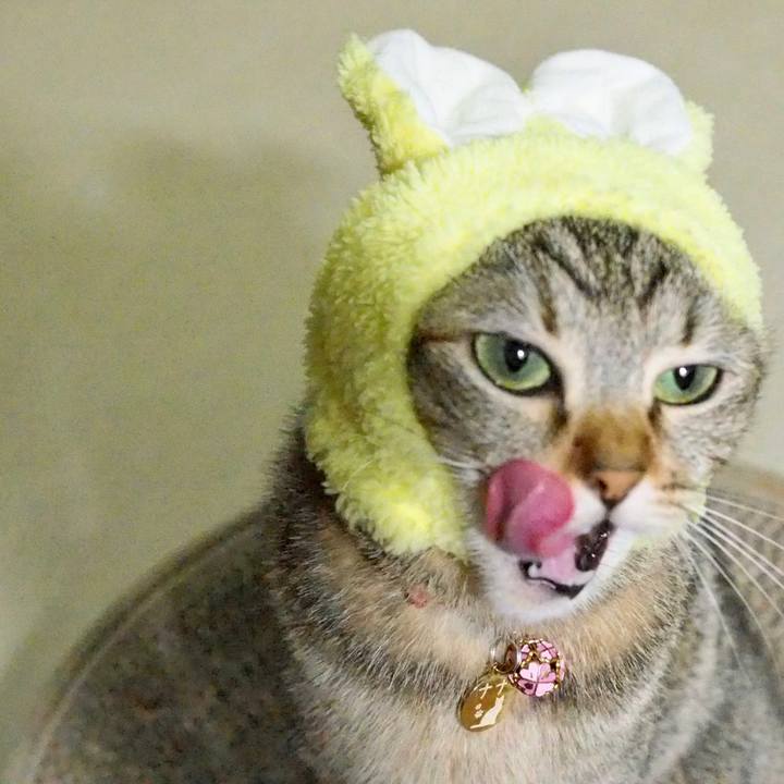 B3383b99 4266 478a 9399 66b71beffc18 1561723612958