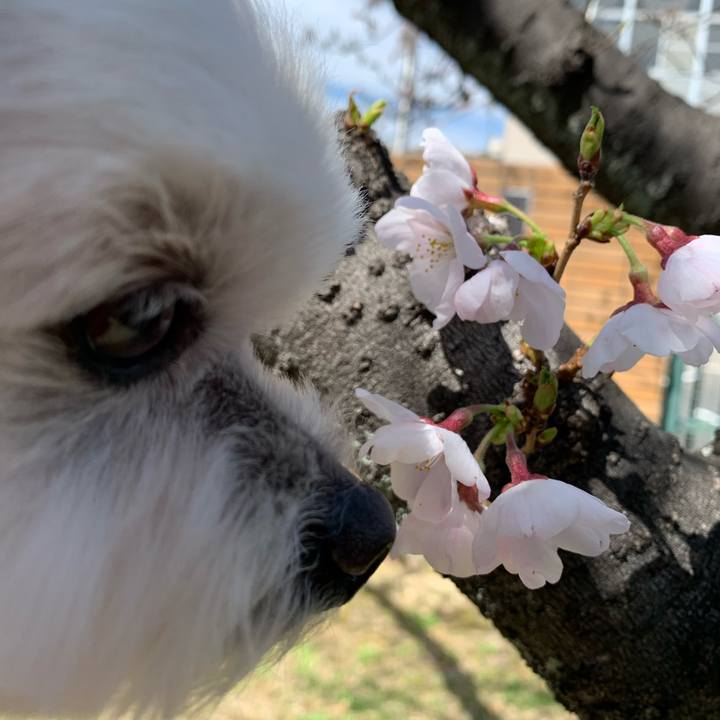 B3384367 5689 420b ae00 de311bbc1b29 1648364294564