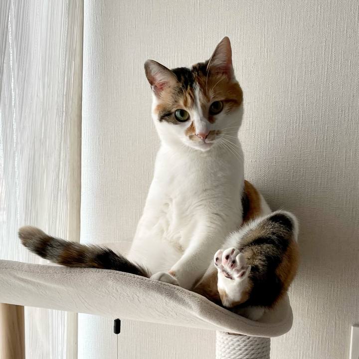 B3389192 2cba 4365 97fe 56a6e1301861 1615503615061