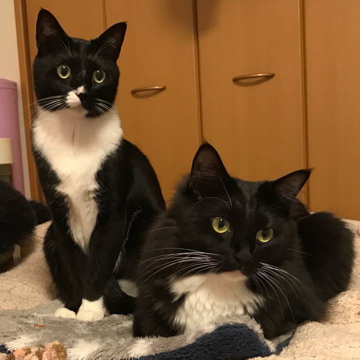 B33906f7 4e1f 4766 8852 a8d675c659bc 1524007569009